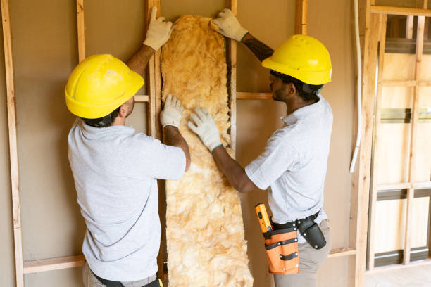 Insulation Repair Services in Greenland, AR